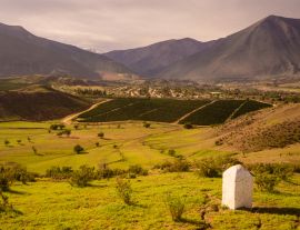 Lais Puzzle - Kakteen, Berge und Täler in der Nähe der Stadt Vicuña Vicuna. Elqui-Tal in Chile - 1.000 Teile