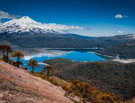 Lais Puzzle - Conguillio Park, Temuco, Chile - 1.000 Teile