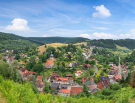 Lais Puzzle - Panoramabild der kleinen idyllischen Bergstadt Wildemann im Harz im Sommer - 1.000 Teile