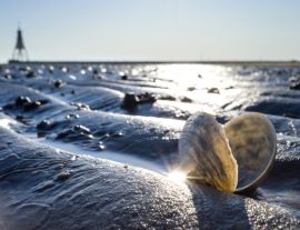 Lais Puzzle - Sandschneise im Wattenmeer in Cuxhaven mit der Kugelbake, einem historischen Hilfsmittel am nördlichsten Punkt Niedersachsens, im Hintergrund - 1.000 Teile
