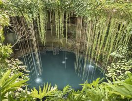 Lais Puzzle - Regenwald-Cenote auf der Halbinsel Yucatan. Tiefe, mit Süßwasser gefüllte Löcher in Yucatan, Mexiko - 1.000 Teile