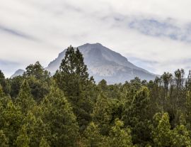 Lais Puzzle - La Malinche National Park Tlaxcala, Mexiko - 1.000 Teile
