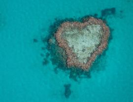 Lais Puzzle - Herz-Riff im Great Barrier Reef, vom Wasserflugzeug aus gesehen - 1.000 Teile