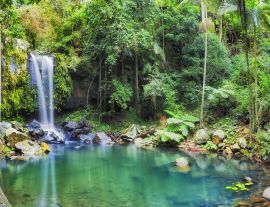Lais Puzzle - Mount Tamborine, Queensland, Australien - 1.000 Teile