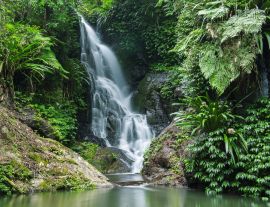 Lais Puzzle - Wasserfall im Lamington National Park in Queensland, Australien - 1.000 Teile