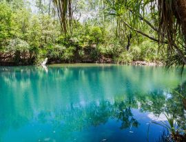 Lais Puzzle - Berry Springs, eine Süßwasserquelle im Northern Territory, Australien - 1.000 Teile