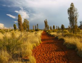 Lais Puzzle - Uluru Landschaft, Australien - 1.000 Teile
