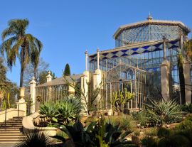 Lais Puzzle - Palmenhaus in einem botanischen Garten, Adelaide, Australien - 1.000 Teile