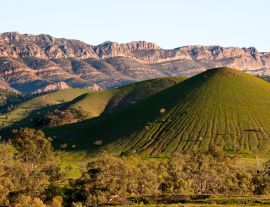 Lais Puzzle - Szene in Flinders Ranges Australien - 1.000 Teile