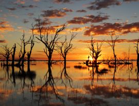 Lais Puzzle - Sonnenuntergang Reflexionen auf See Menindee Outback Australien - 1.000 Teile