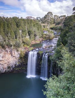 Lais Puzzle - Dangar Falls Wasserfall Weg Coffs Harbour nach Armidale New South Wales Australien - 1.000 Teile
