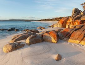 Lais Puzzle - Mit Flechten bedeckte Felsen. Bay of Fires. Tasmanien. Australien - 1.000 Teile