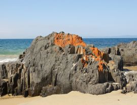 Lais Puzzle - Spiky Beach, Küste bei Swansea, Tasmanien, Australien - 1.000 Teile