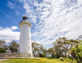 Lais Puzzle - Blick auf weißen Leuchtturm, Tafelkap Tulip, Wynyard, Tasmanien, Australien - 1.000 Teile