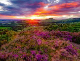 Lais Puzzle - Roseberry Topping, Nord-Yorkshire, England - 1.000 Teile