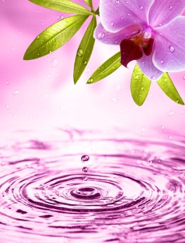 Lais Puzzle - Orchidee - 1.000 Teile