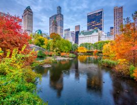 Lais Puzzle - Central Park New York im Herbst - 1.000 Teile