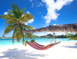 Lais Puzzle - Tropischer Strand mit Palmen und Hängematte - 1.000 Teile