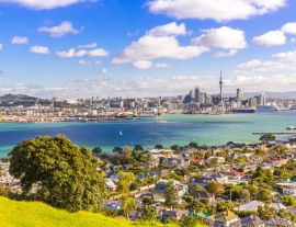 Lais Puzzle - Auckland Neuseeland - 1.000 Teile