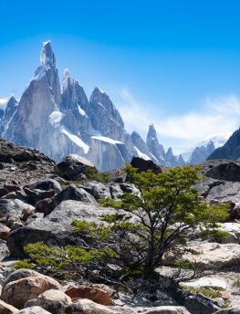Lais Puzzle - Cerro Torre Trek, El Chalten, Patagonien, Argentinien - 1.000 Teile