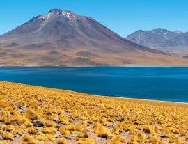 Lais Puzzle - Panorama der Lagune Miscanti in den Anden, Atacama-Wüste, Chile - 1.000 Teile