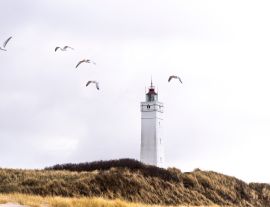 Lais Puzzle - Leuchtturm von Blavand, Dänemark - 1.000 Teile