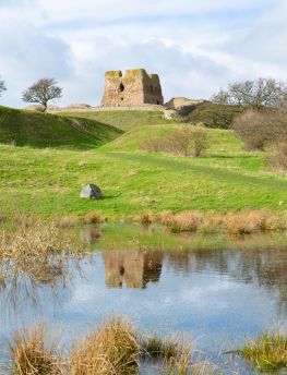 Lais Puzzle - Das historische Schloss Kalø im Nationalpark Mols Bjerge, Djursland, Dänemark - 1.000 Teile