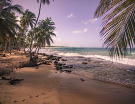 Lais Puzzle - Playa Limon in der Dominikanischen Republik - 1.000 Teile