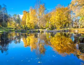 Lais Puzzle - Japanischer Garten aus Steinen im Park Kadriorg mit schönem Teich im goldenen Herbst. Tallinn, Estland - 1.000 Teile