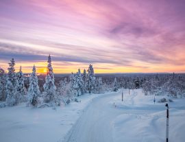 Lais Puzzle - Winterlandschaft in Lappland, Finnland - 1.000 Teile