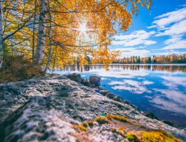 Lais Puzzle - Herbstlicher Seeblick von Sotkamo, Finnland - 1.000 Teile