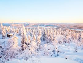 Lais Puzzle - Majestätischer Winter in Finnland - 1.000 Teile