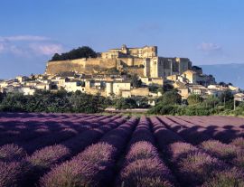 Lais Puzzle - Drome, Provence, Lavendelfeld von Grignan - 1.000 Teile