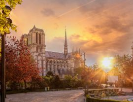 Lais Puzzle - Paris, Kathedrale Notre Dame mit Frühlingsbäumen - 1.000 Teile
