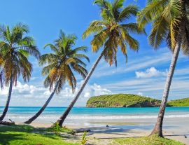 Lais Puzzle - Palmen an einem schönen, abgelegenen Strand auf der Insel Grenada, Karibik, Kleine Antillen - 1.000 Teile