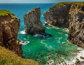Lais Puzzle - Blick über eine Bucht mit einem vorgelagerten Felsen, der von brütenden Raverbill-Möwen bevölkert wird, an der Küste von Pembrokeshire, Wales, im Sommer - 1.000 Teile