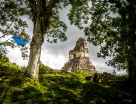 Lais Puzzle - Spitze des Maya-Tempels I (Gran Jaguar) im Tikal-Nationalpark - Guatemala - 1.000 Teile