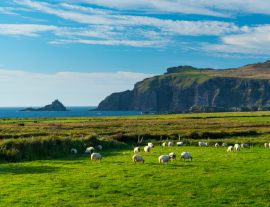 Lais Puzzle - Coumeenoole Bay, Dingle-Halbinsel, Grafschaft Kerry, Irland, Europa - 1.000 Teile