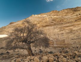 Lais Puzzle - Ein Avdat-Nationalpark Israel - 1.000 Teile