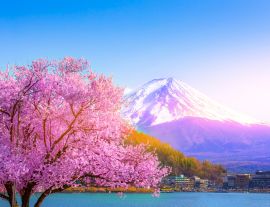 Lais Puzzle - Der Berg Fuji und die Kirschblüten, die vom Kawaguchiko-See in Yamanashi zu sehen sind - 1.000 Teile