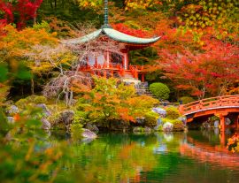 Lais Puzzle - Daigo-ji-Tempel mit bunten Ahornbäumen im Herbst, Kyoto, Japan - 1.000 Teile