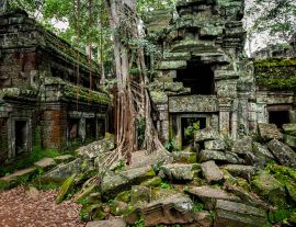 Lais Puzzle - Tempel von Angkor Wat, wo der Dschungel die Ruinen in der Nähe der Stadt Siem Reap in Kambodscha teilweise überwuchert hat - 1.000 Teile