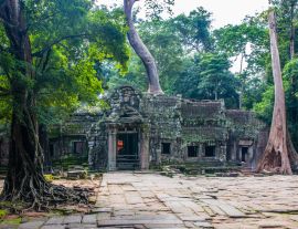 Lais Puzzle - Ta Prohm-Tempel in Angkor Kambodscha Asien - 1.000 Teile