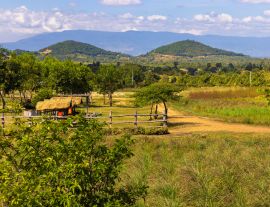 Lais Puzzle - Die Landschaft in der Region Kampot, Kambodscha - 1.000 Teile