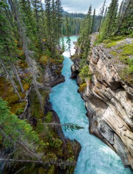 Lais Puzzle - Eine enge Schlucht am Icefield Parkway in British Columbia - 1.000 Teile