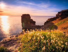 Lais Puzzle - Blick auf einen Strand auf Bell Island, Neufundland, Kanada bei Sonnenuntergang - 1.000 Teile