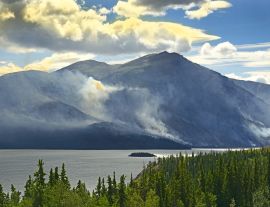 Lais Puzzle - Tagish Lake, Yukon Territorium, Kanada - 1.000 Teile