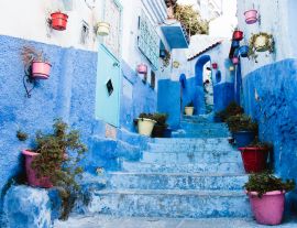 Lais Puzzle - Blaue Allee mit Blumentöpfen in der Medina, Chefchaouen, Marokko - 1.000 Teile