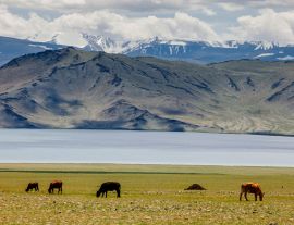Lais Puzzle - Landschaft Mongolei - 1.000 Teile
