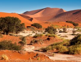Lais Puzzle - Sanddünen bei Sossusvlie - Namib-Wüste - Namibia - 1.000 Teile